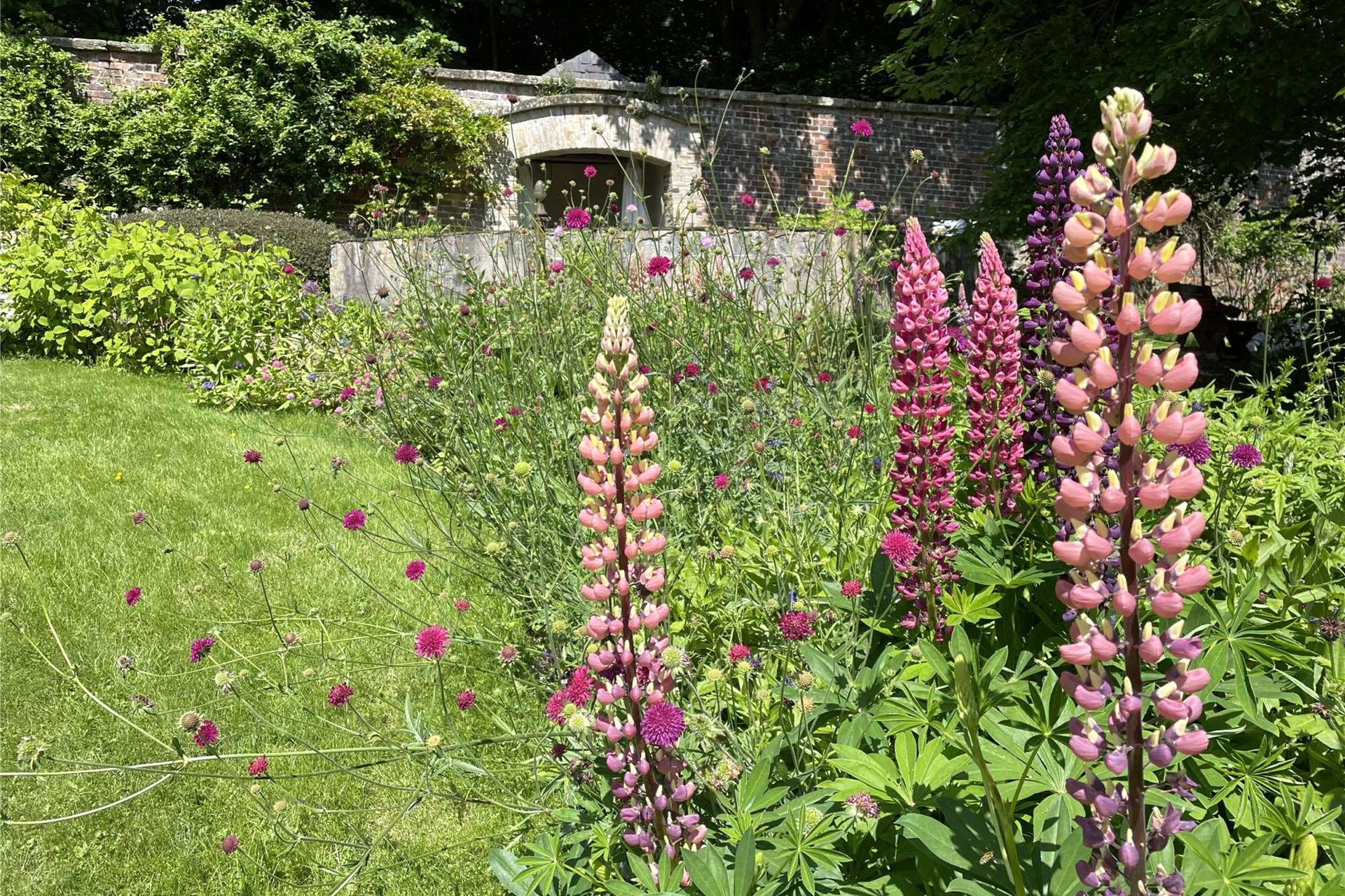 6 Inzievar Courtyard, Dunfermline, Fife, KY12 8HB - Picture #21