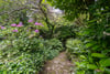 Loaning Hill House, Kilmany, Cupar, Fife, KY15 4PT - Picture #26