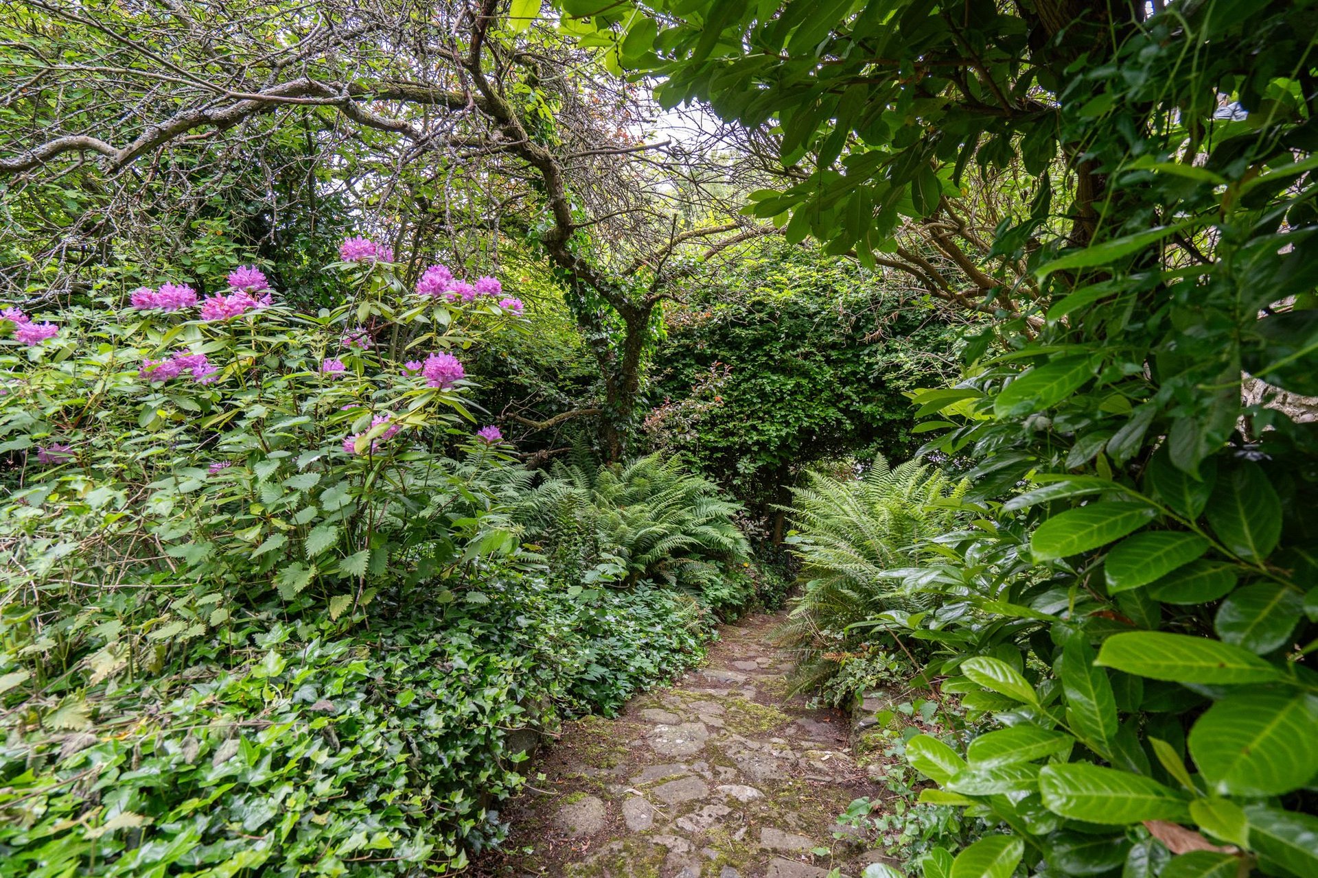 Loaning Hill House, Kilmany, Cupar, Fife, KY15 4PT - Picture #26