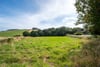 Cornrigs, Abernyte, Perth, Perth and Kinross, PH14 9RB - Picture #21