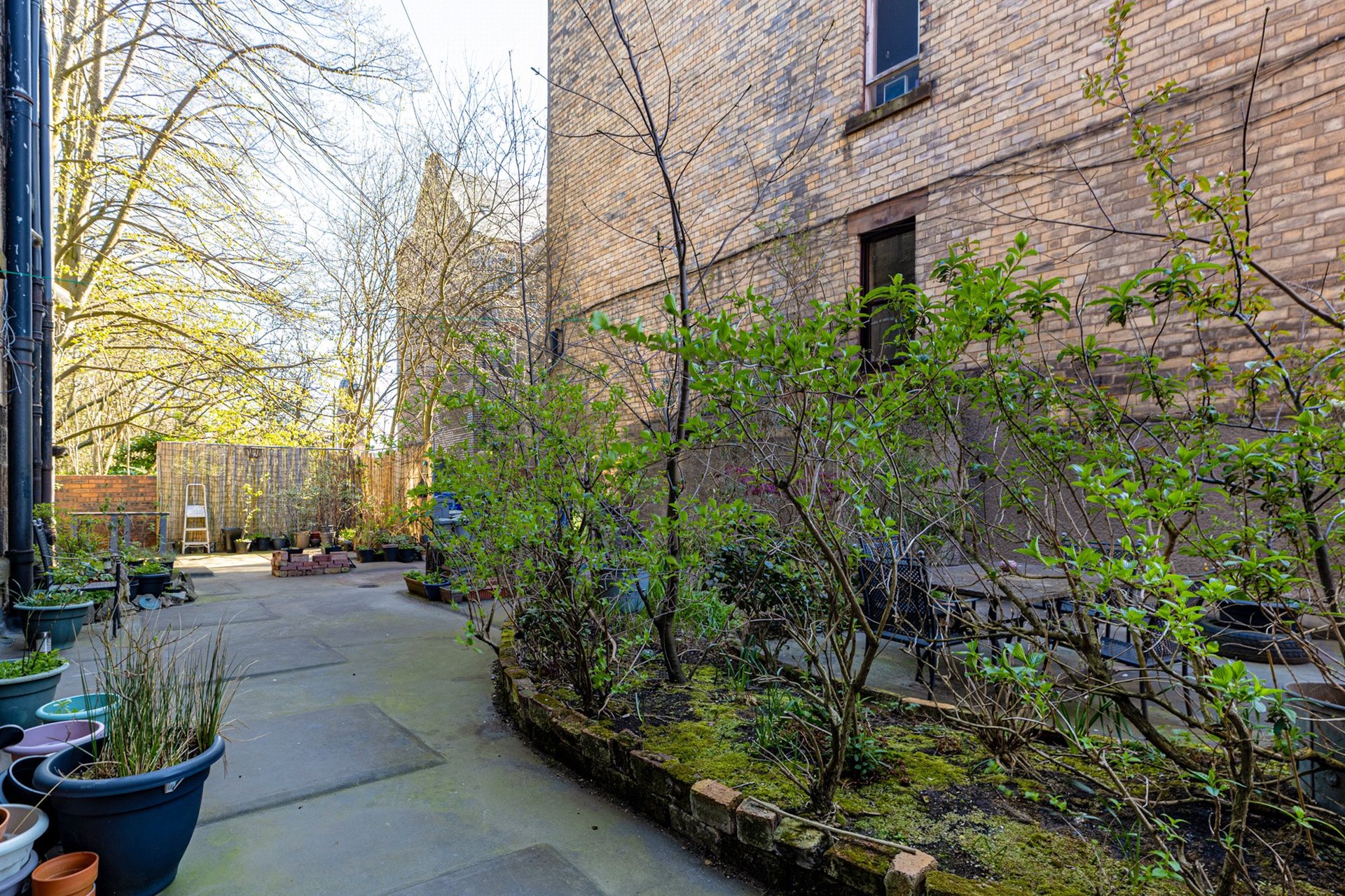 Flat 2/1, 120 Duke Street, Dennistoun, Glasgow City, G4 0XW - Picture #2