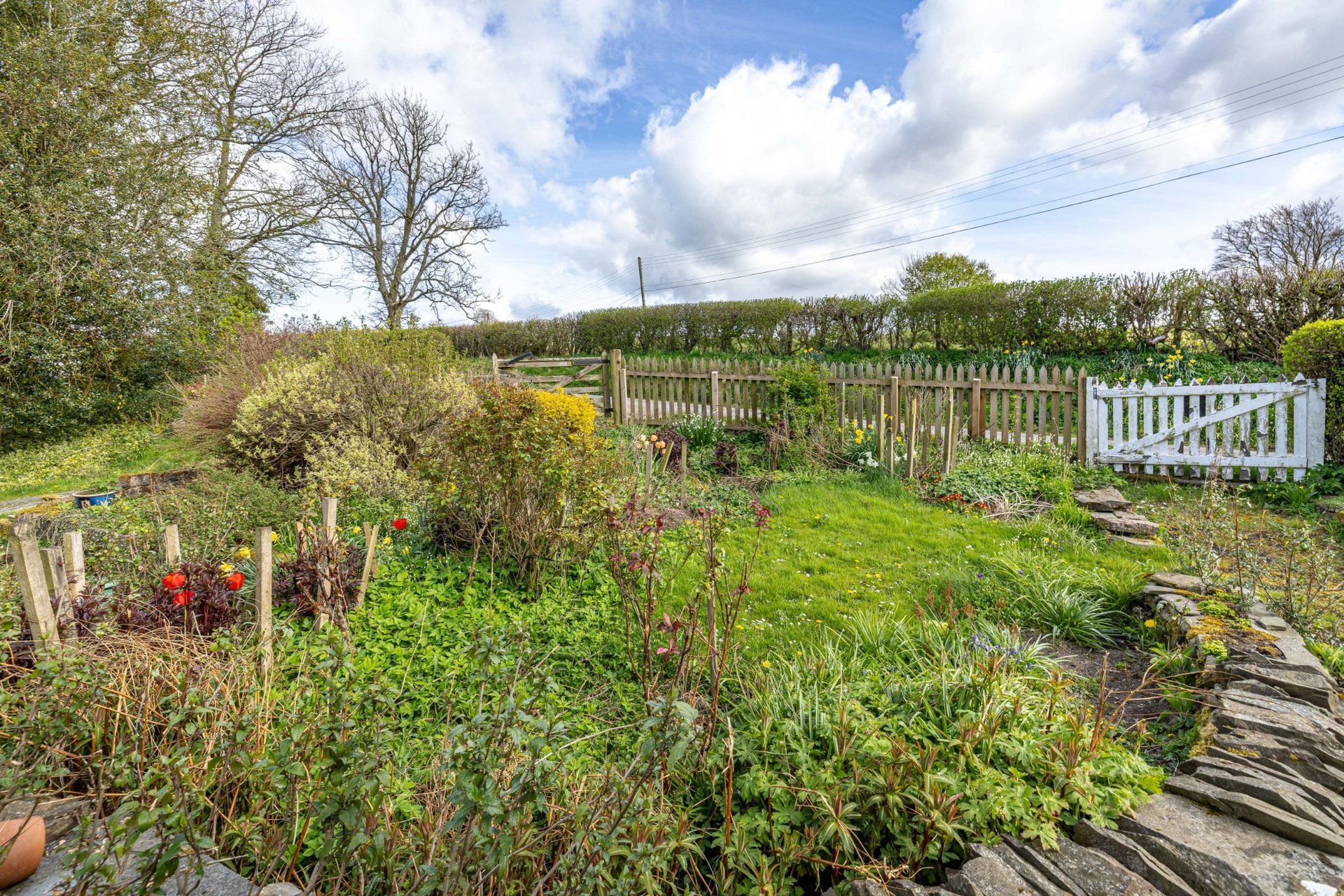 Athole Cottage, Kirkton, Hawick, Scottish Borders, TD9 8QJ - Picture #26