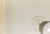 2/1, 391 Paisley Road West, Glasgow, G51 1LR - Picture #8