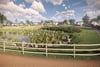 Plot 4 Queens View Crescent, Dumgoyne, Glasgow, Stirlingshire, G63 9QP - Picture #1
