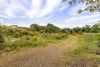 The Walled Garden Development Site, Tealing, Dundee, DD4 0QZ - Picture #5