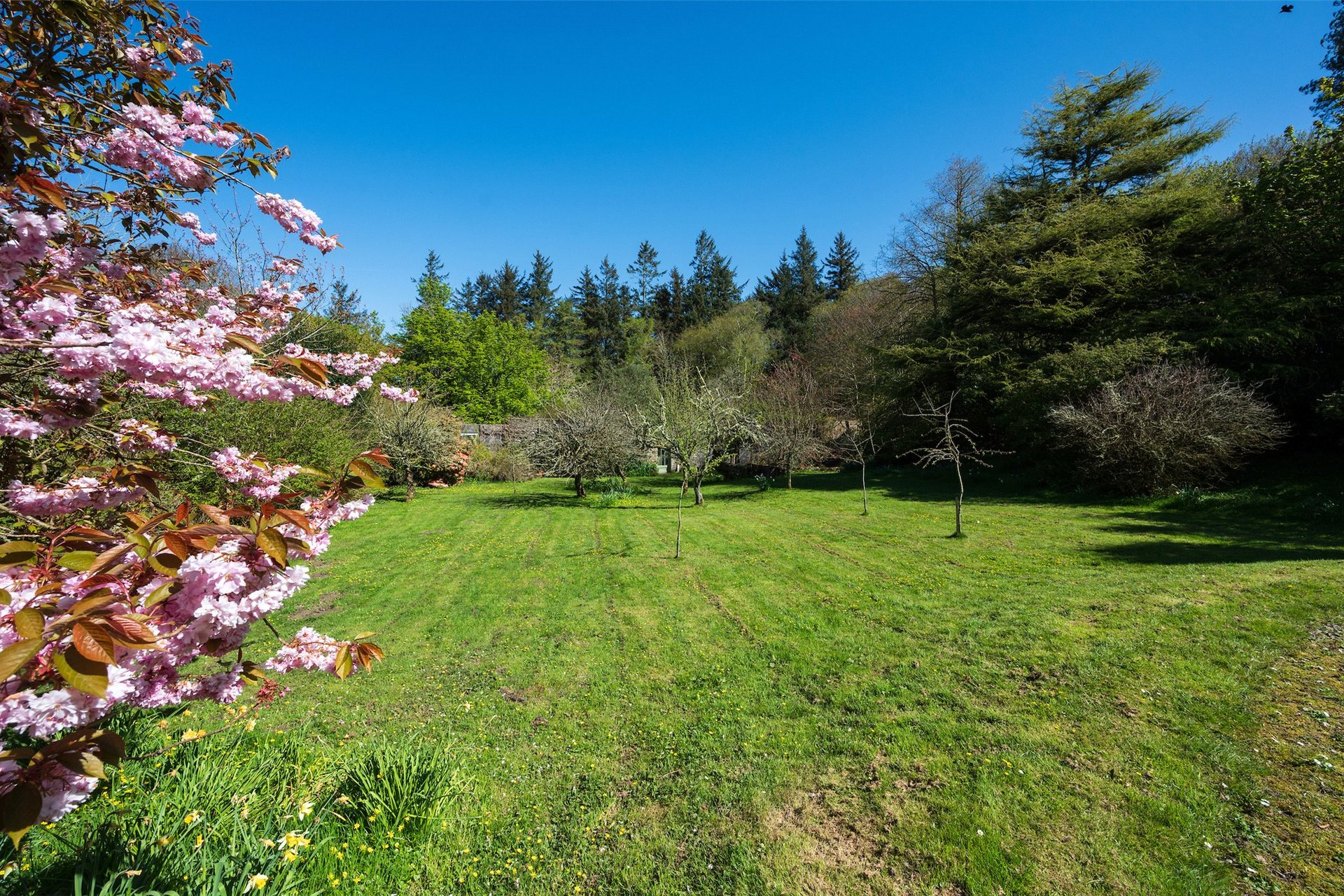 Glencreggan House, Glenbarr, Tarbert, Argyll, PA29 6UT - Picture #21