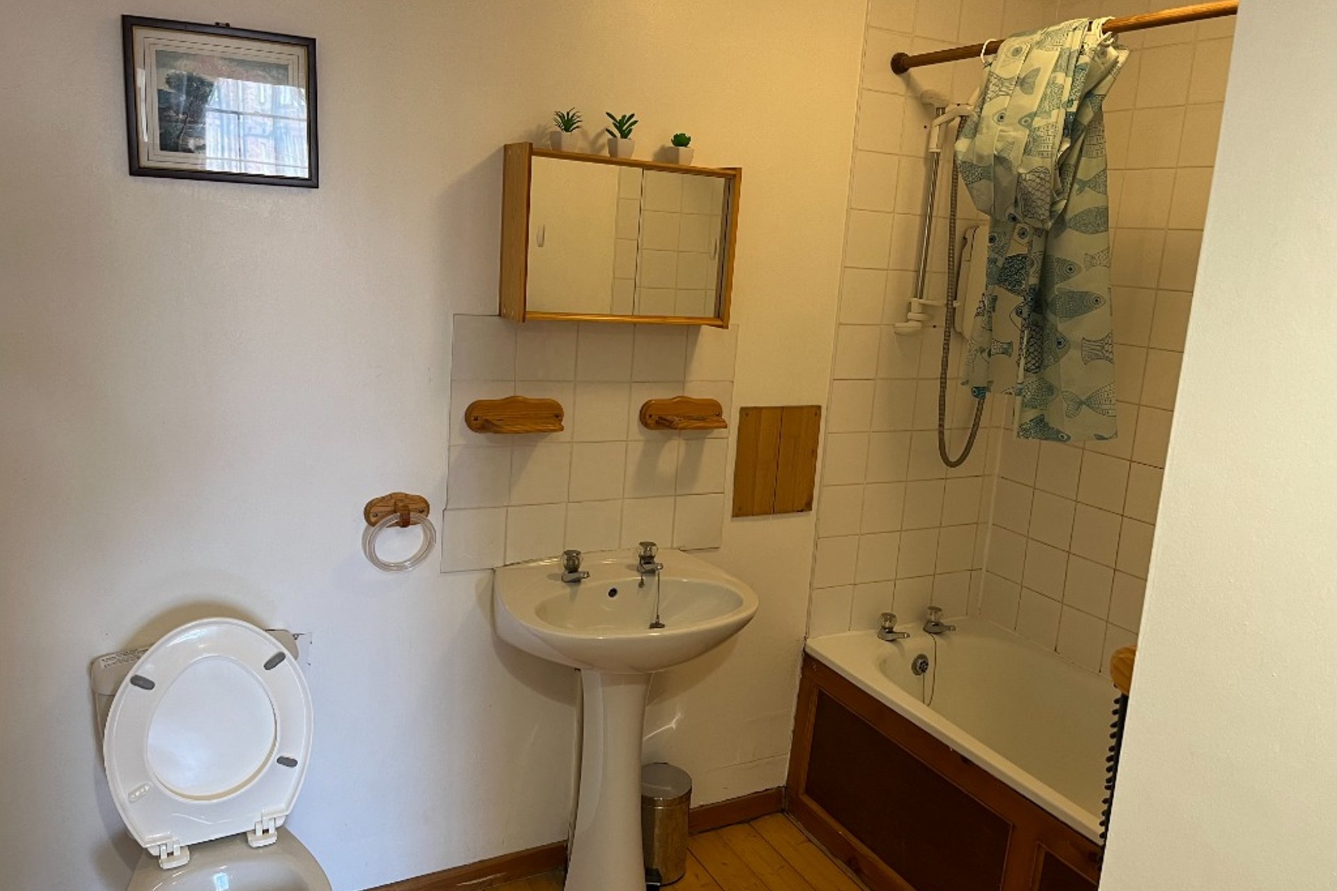 6 Drummond Street, Old Town, Edinburgh, EH8 9UA - Picture #9