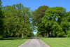 Brechin Castle, Brechin, Angus, DD9 6SG - Picture #18
