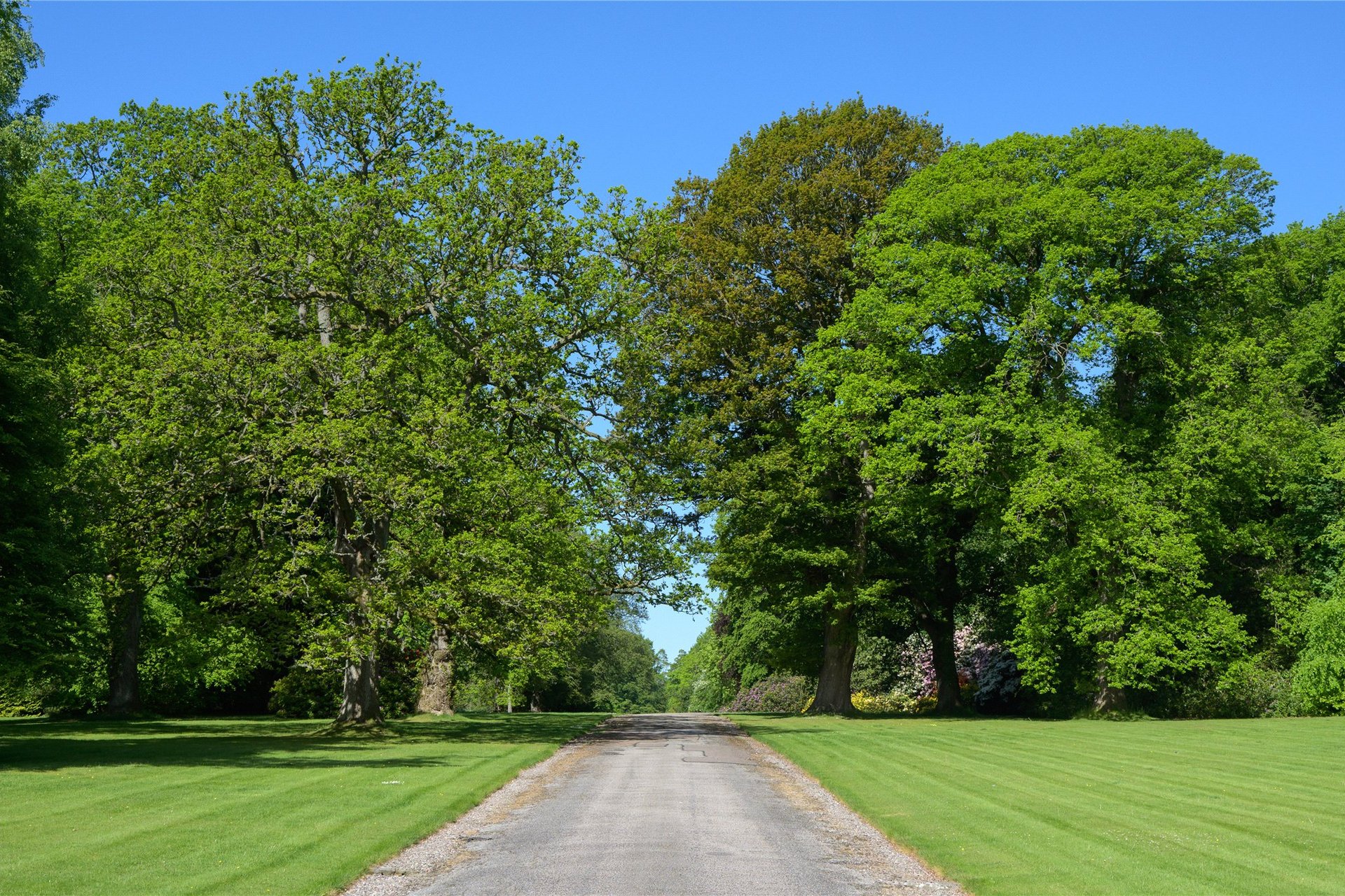 Brechin Castle, Brechin, Angus, DD9 6SG - Picture #18