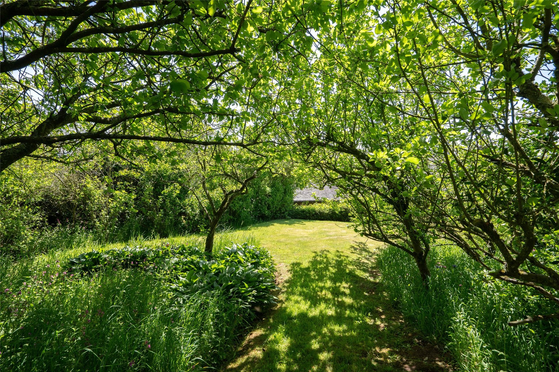 Brotherstone Cottage, Melrose, Scottish Borders, TD6 9DT - Picture #20