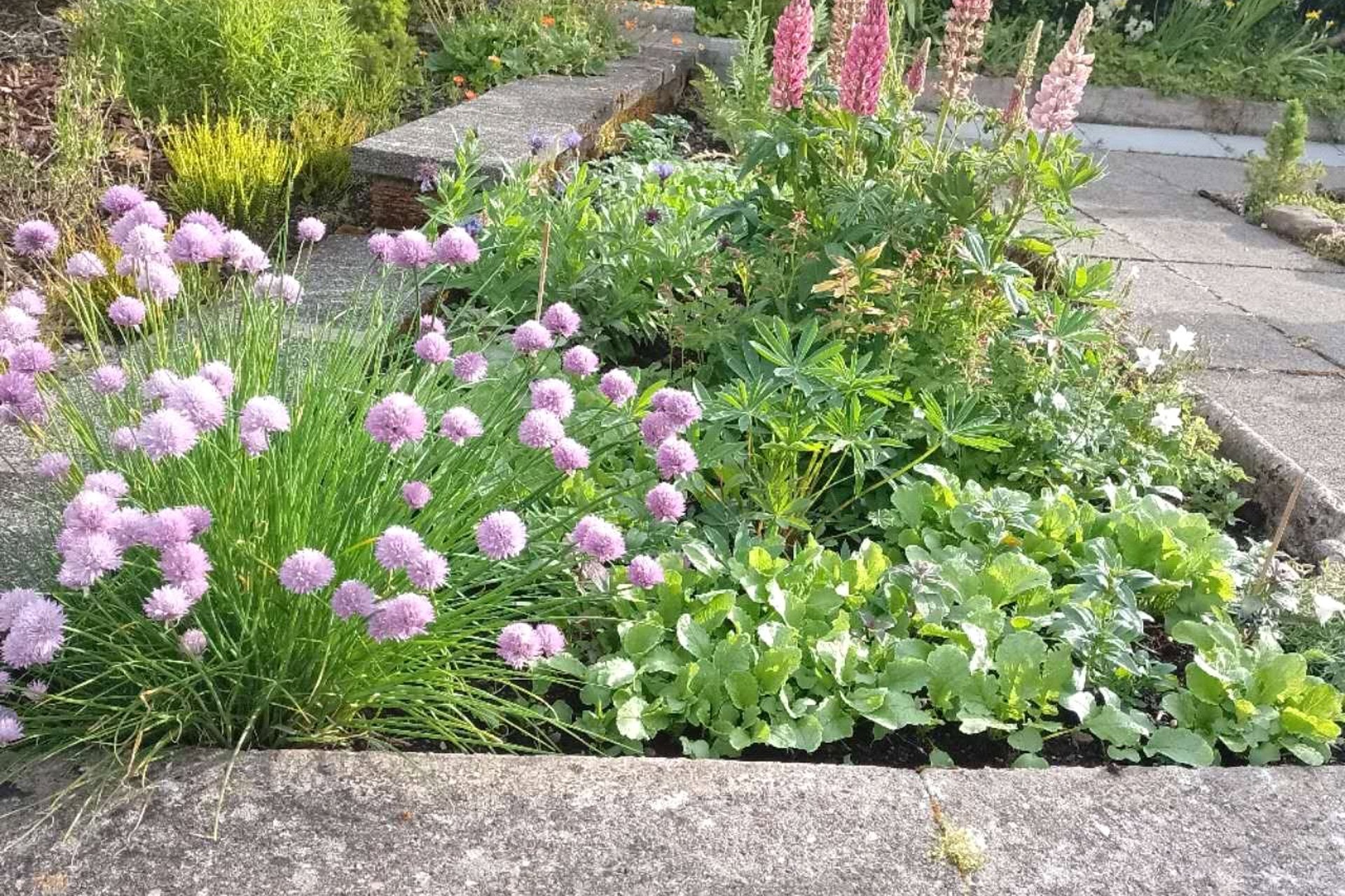 1 Dunmore Drive, Milngavie, G62 6NZ - Picture #29