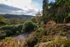 Ardchoile, Lochard Road, Aberfoyle, Stirling, Stirlingshire, FK8 3TD - Picture #41