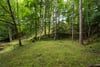 Tighnault, Glenlyon, Aberfeldy, Perth and Kinross, PH15 2PL - Picture #16