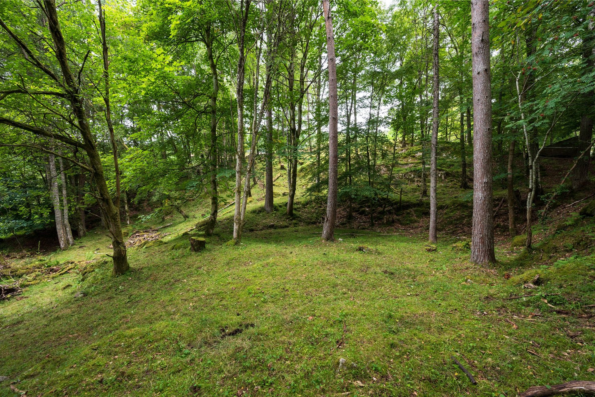 Tighnault, Glenlyon, Aberfeldy, Perth and Kinross, PH15 2PL - Picture #16