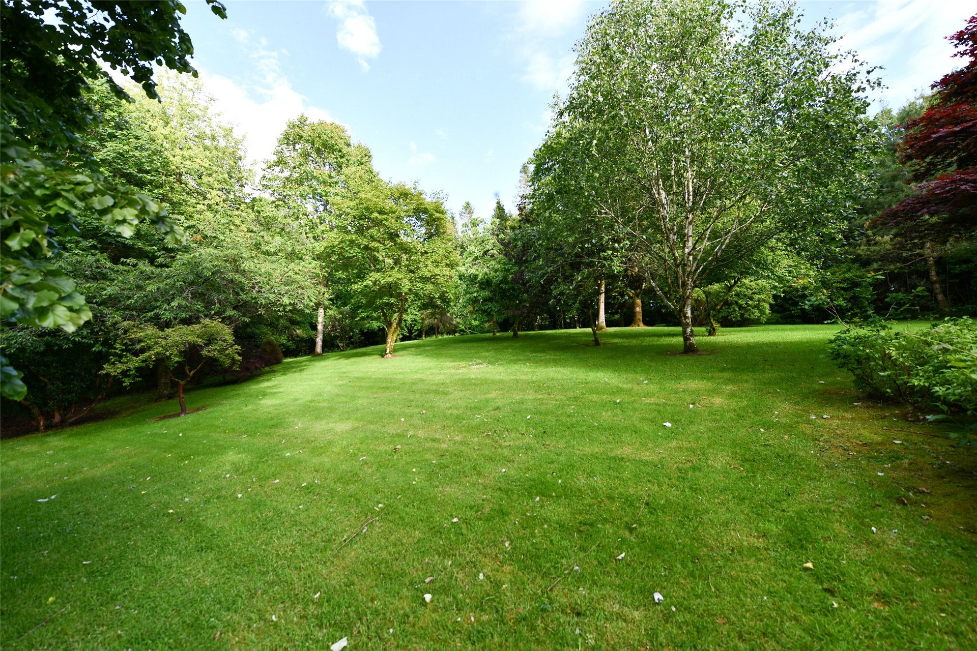 Whitehills House, Minnigaff, Newton Stewart, Dumfries and Galloway, DG8 6SL - Picture #19