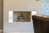 3 Willow Tree Place, Balerno, Edinburgh, EH14 5AZ - Picture #15