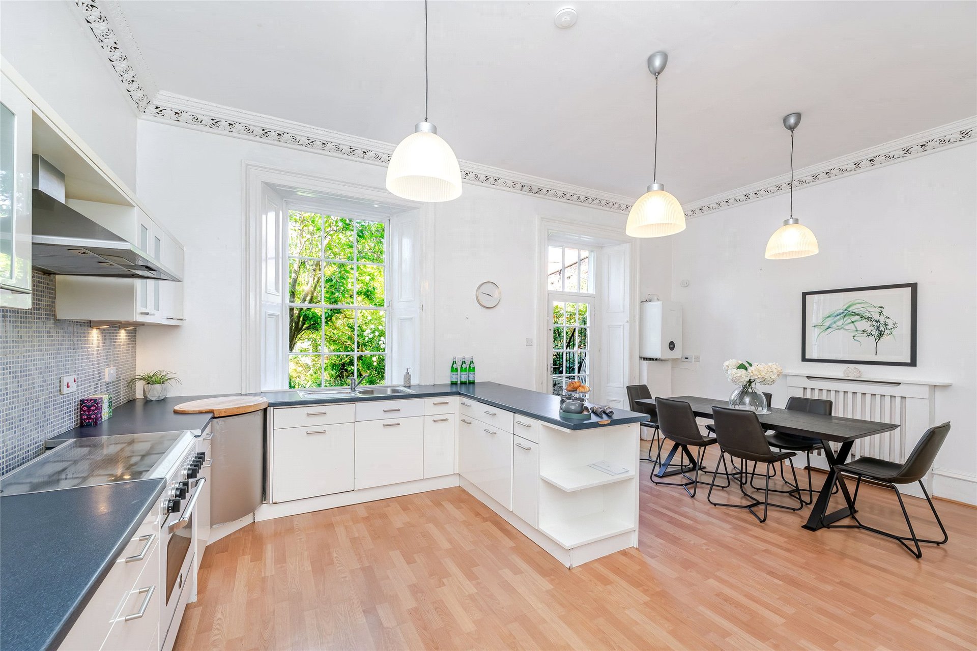3 Sylvan Place, Marchmont, Edinburgh, EH9 1LH - Picture #7