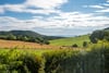 Cornrigs, Abernyte, Perth, Perth and Kinross, PH14 9RB - Picture #3