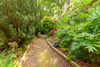 Blackness House, Linlithgow, West Lothian, EH49 7NE - Picture #27