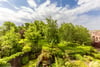 59 Orchard Brae Avenue, Edinburgh, EH4 2UR - Picture #33