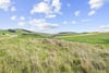 Candyburn Farm, Biggar, South Lanarkshire, ML12 6QY - Picture #32