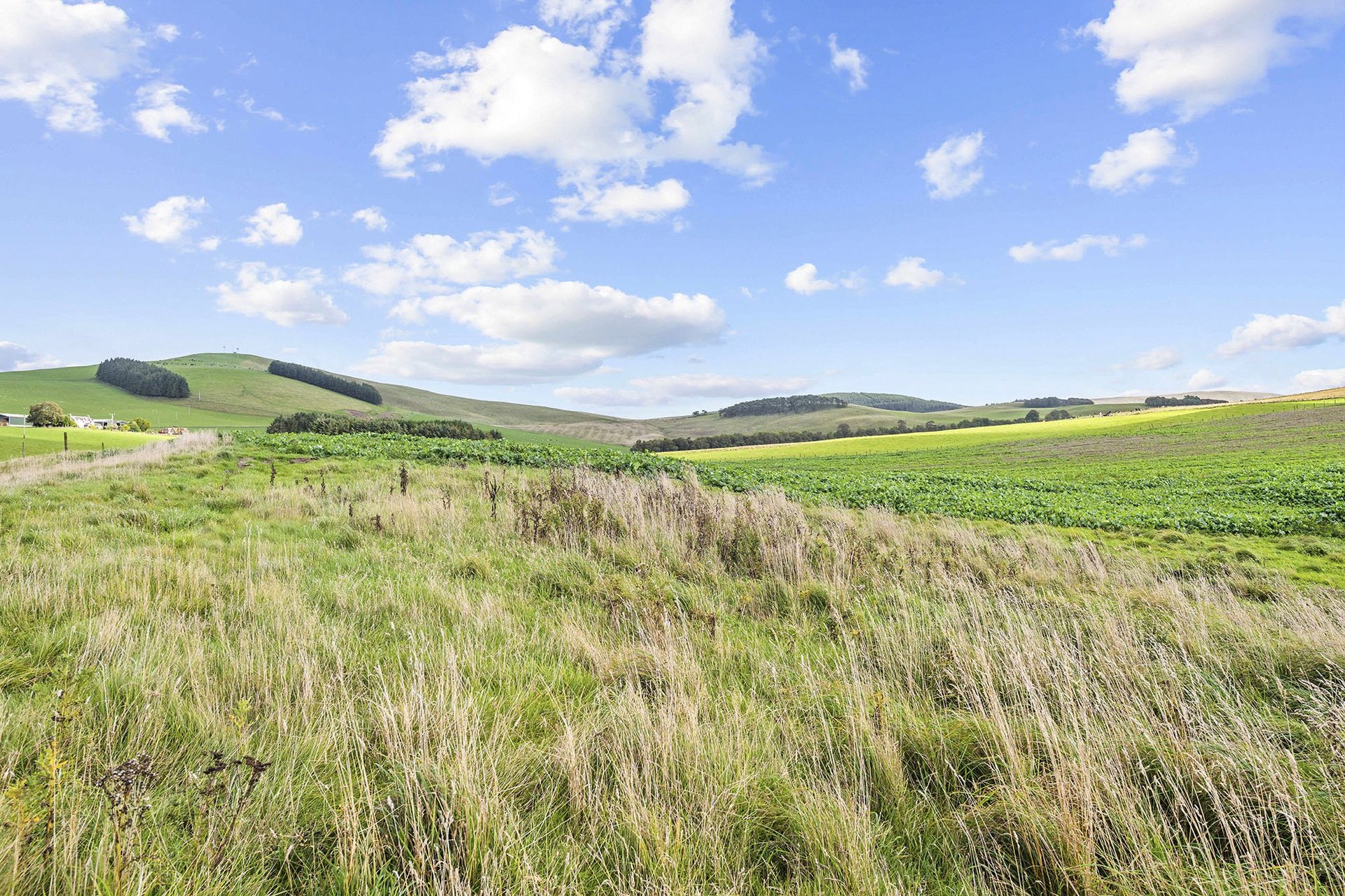 Candyburn Farm, Biggar, South Lanarkshire, ML12 6QY - Picture #32