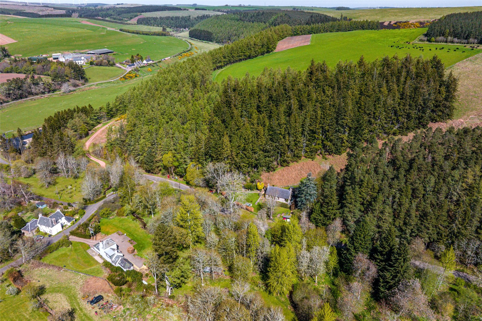 Woodside Cottage, Ellemford, Duns, Berwickshire, TD11 3SG - Picture #16