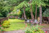 9 Seatoun Place, Lower Largo, Leven, Fife, KY8 6BL - Picture #3