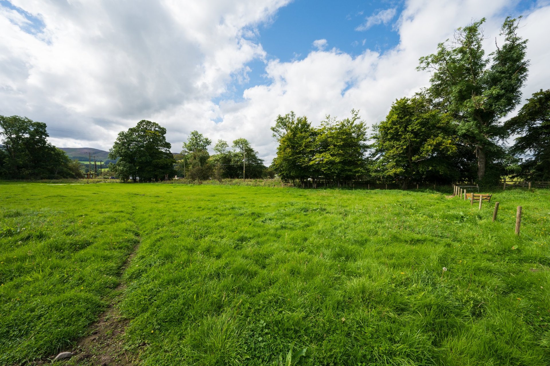 Building Plot Eshiels Holdings, Peebles, Scottish Borders, EH45 8NA - Picture #3
