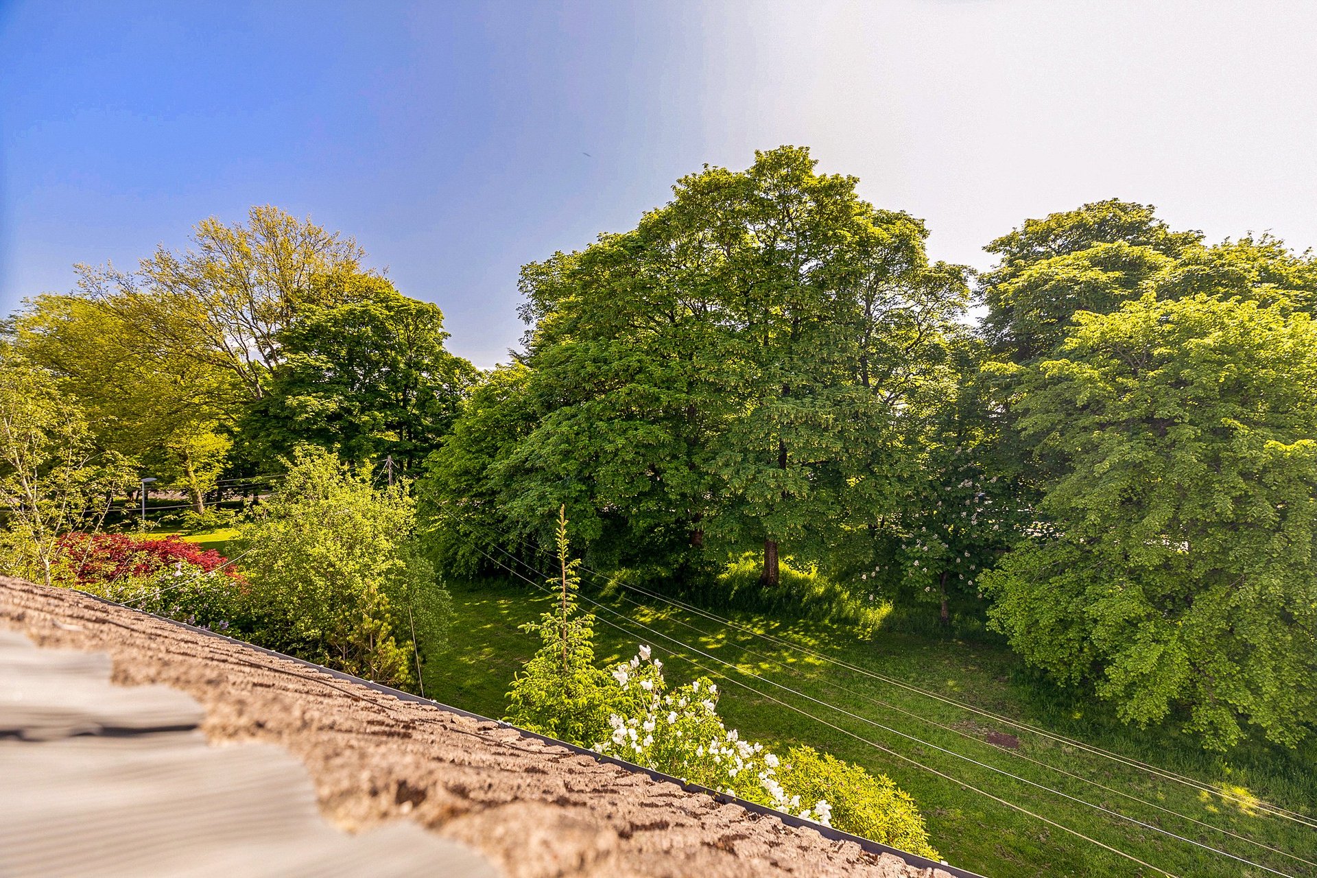 24 Endrick Gardens, Milngavie, G62 7RN - Picture #31
