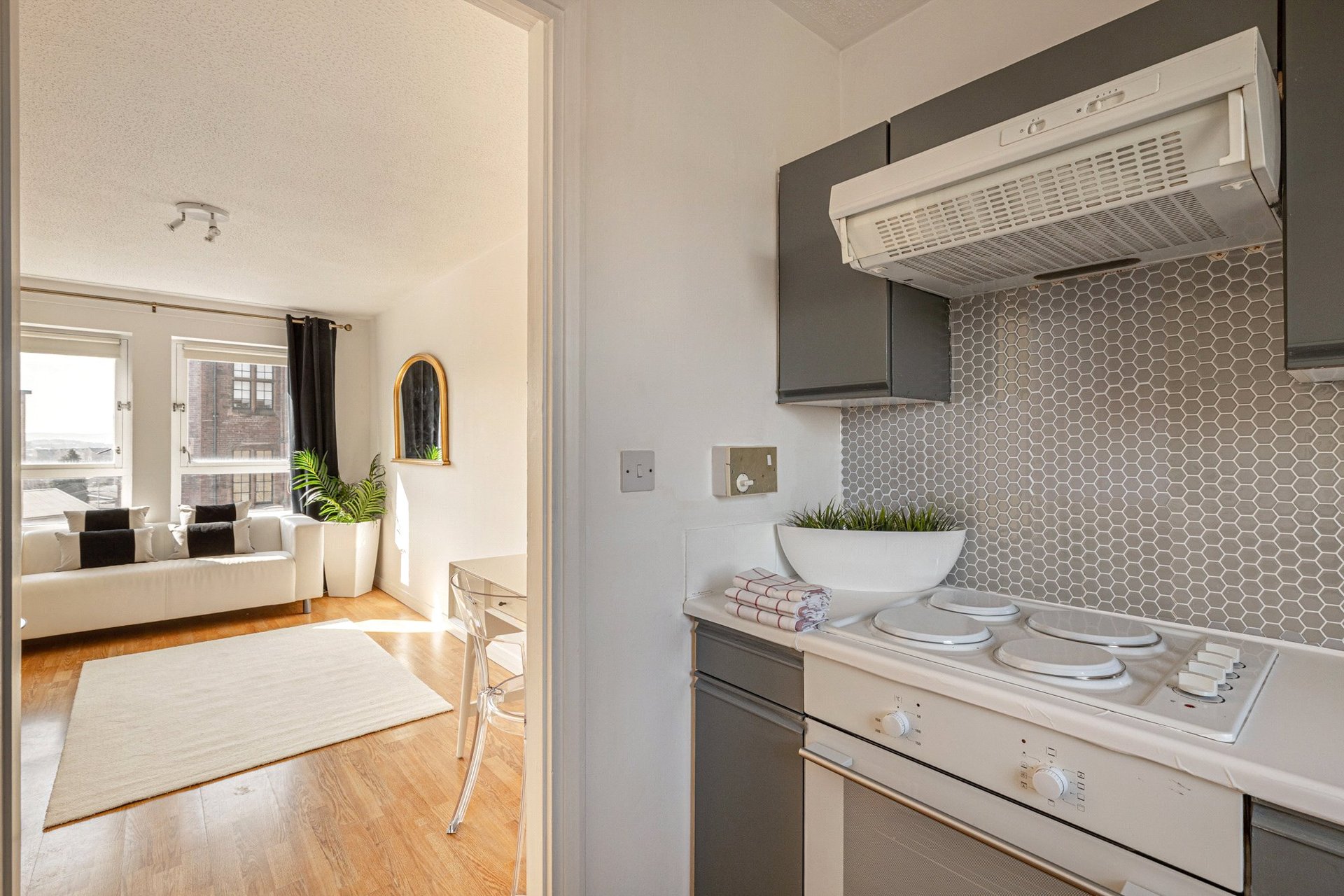 3/1, 139 Yorkhill Street, Yorkhill, Glasgow, G3 8NS - Picture #8