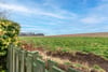 19 Windsor Gardens, St. Andrews, Fife, KY16 8XL - Picture #4