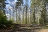Eastertyre, Ballinluig, Pitlochry, PH9 0LN - Picture #49
