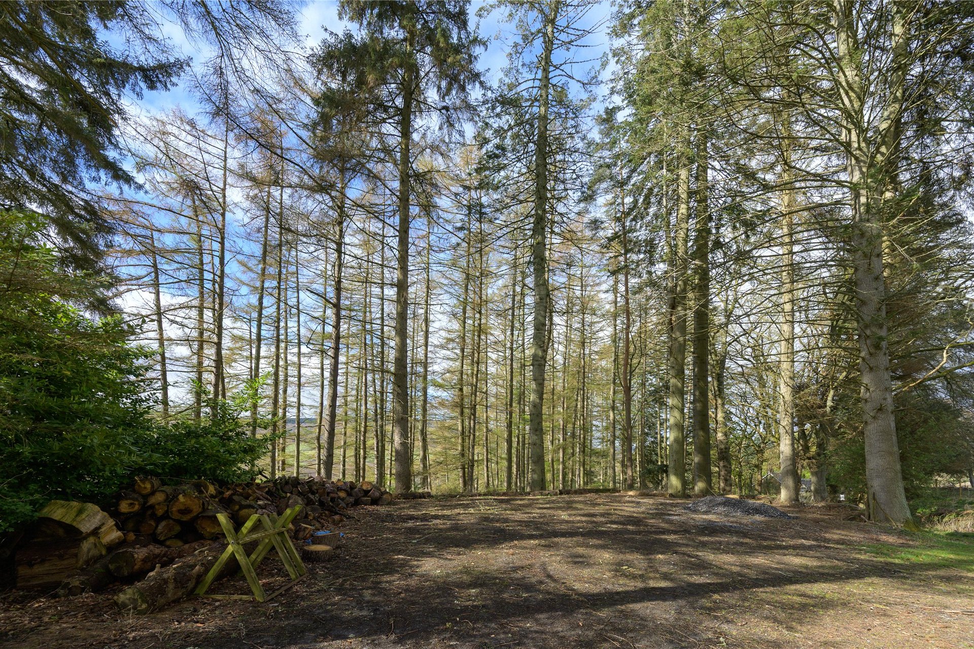Eastertyre, Ballinluig, Pitlochry, PH9 0LN - Picture #49