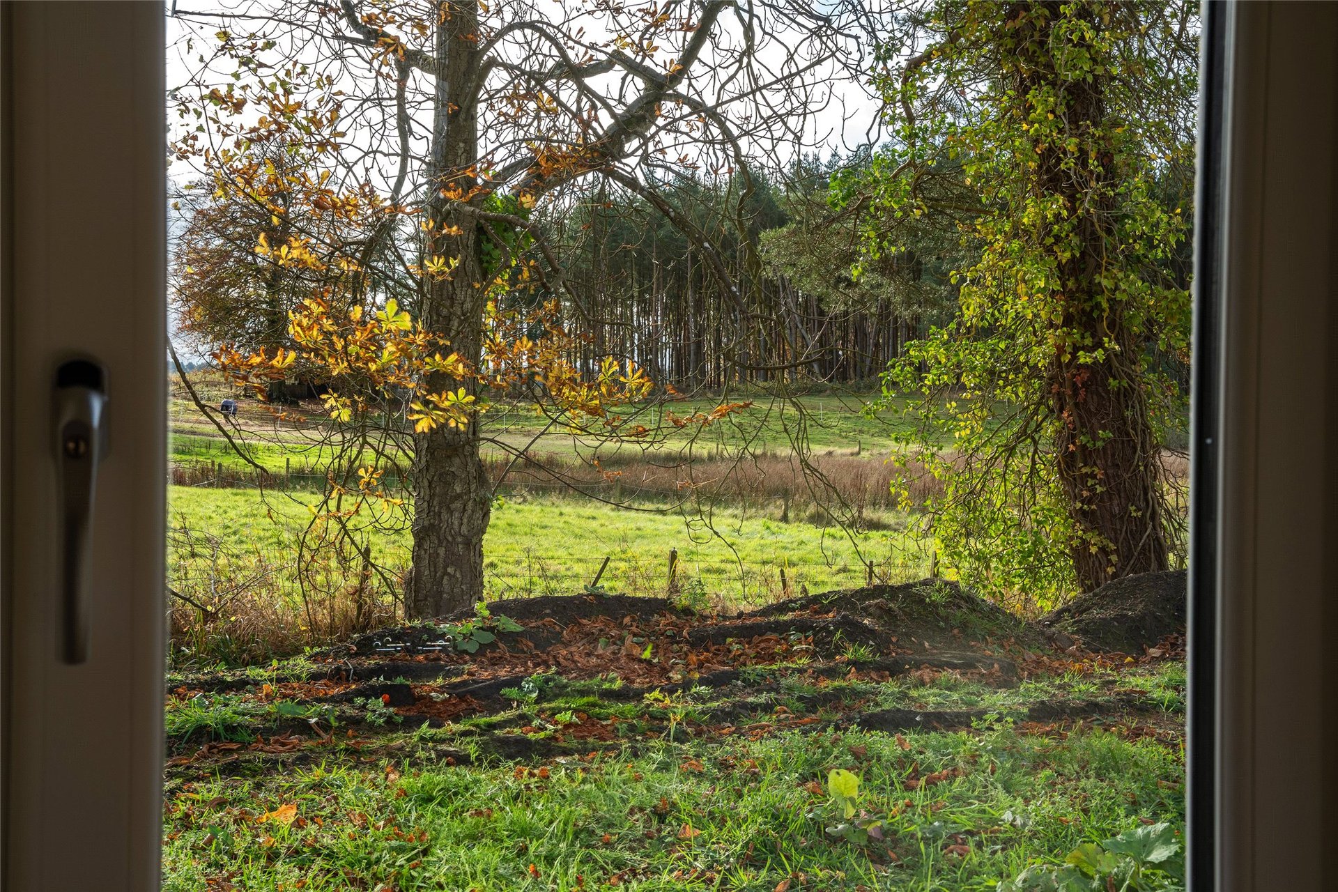 Plot 17, Pitlair Park, Bow Of Fife, Cupar, KY15 5RF - Picture #7