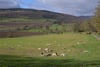 Eastertyre, Ballinluig, Pitlochry, PH9 0LN - Picture #39