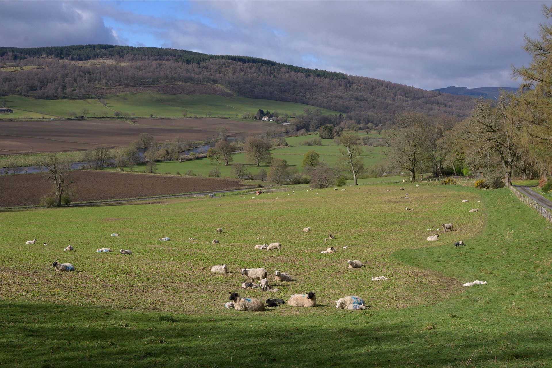 Eastertyre, Ballinluig, Pitlochry, PH9 0LN - Picture #39