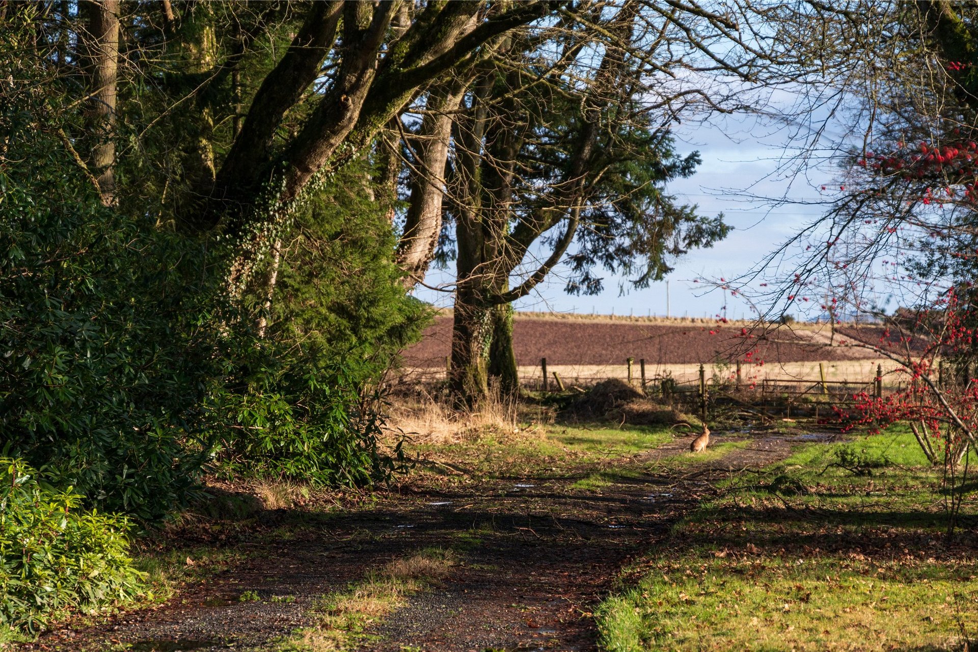 Keillour Castle, Methven, Perth, PH1 3RA - Picture #46