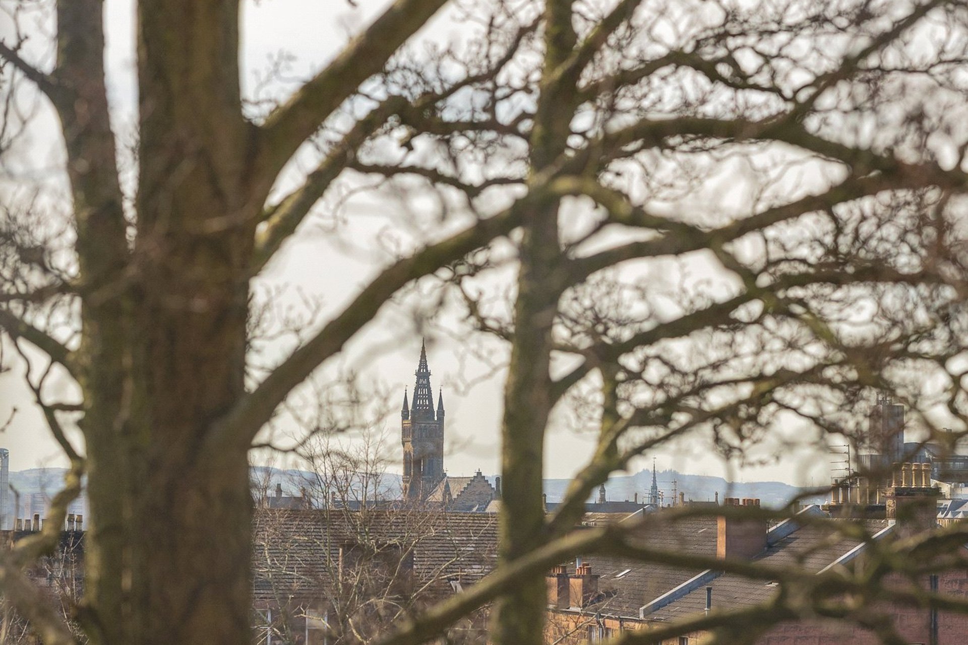 1/2, 49 Fergus Drive, North Kelvinside, Glasgow, G20 6AQ - Picture #24