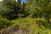 Flat 2/2, 52 Fortrose Street, Partick, Glasgow, G11 5LP - Picture #43