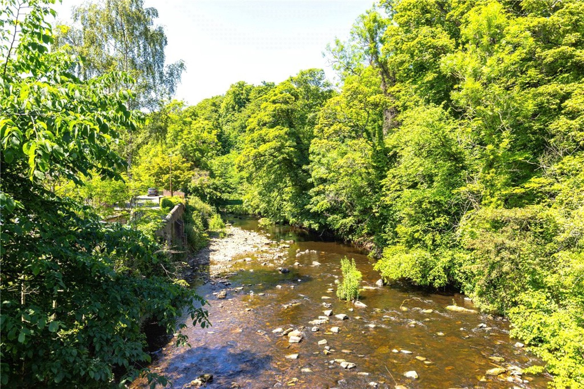 1f1, 50 Spylaw Street, Edinburgh, EH13 0JS - Picture #13