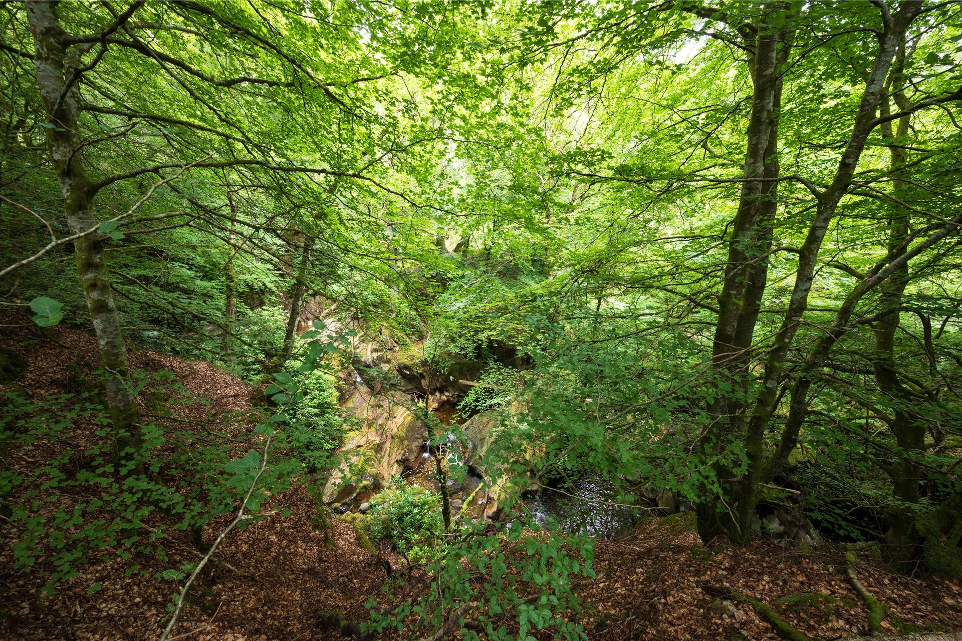 Tighnault, Glenlyon, Aberfeldy, Perth and Kinross, PH15 2PL - Picture #17