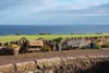 Cove Farmhouse, Cockburnspath, Berwickshire, Scottish Borders, TD13 5YP - Picture #3