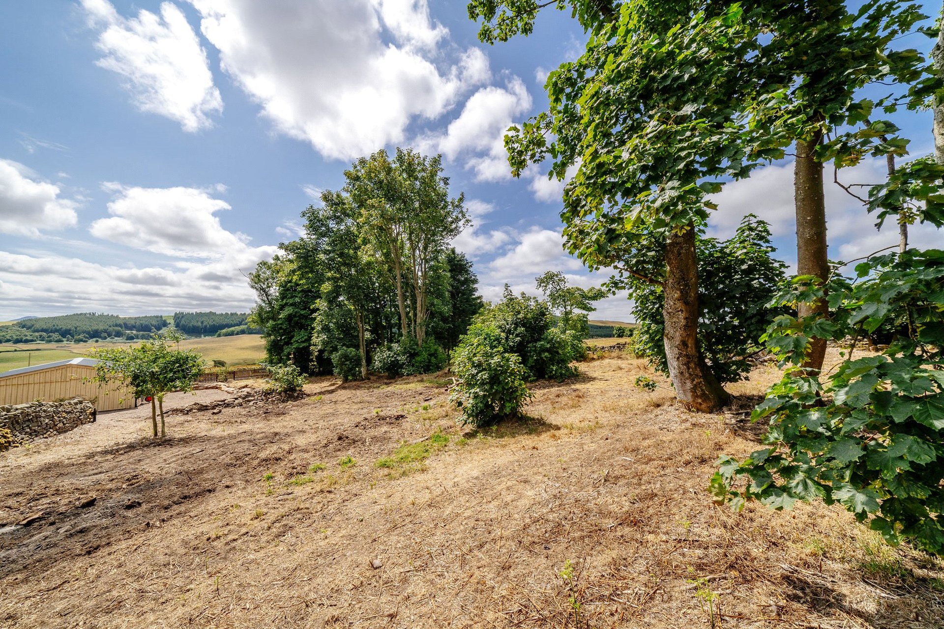 Ladhopemuir, Langshaw, Galashiels, Scottish Borders, TD1 2PB - Picture #29