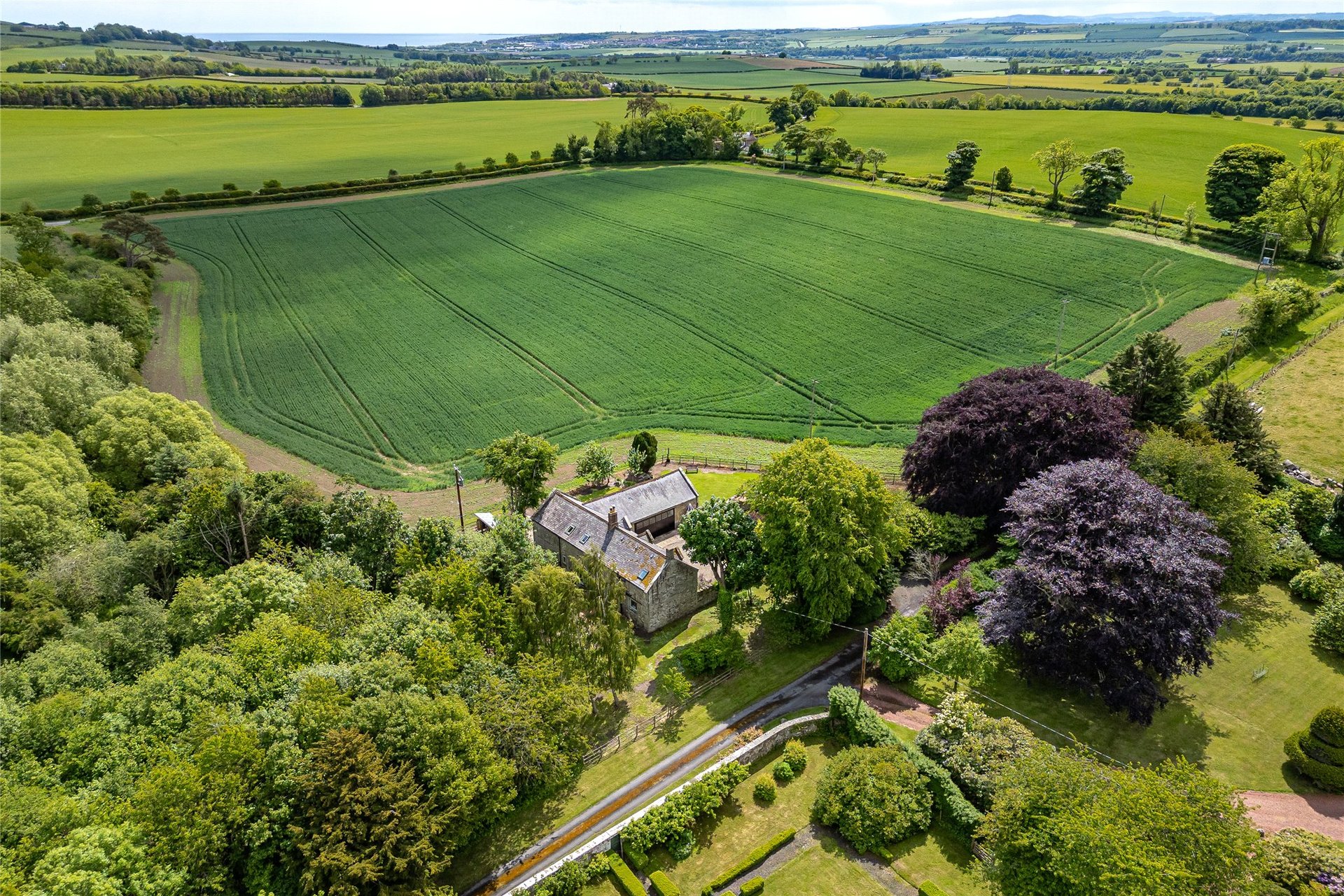 The Garden Cottage, Edrington, Foulden, Berwickshire, TD15 1UF - Picture #19