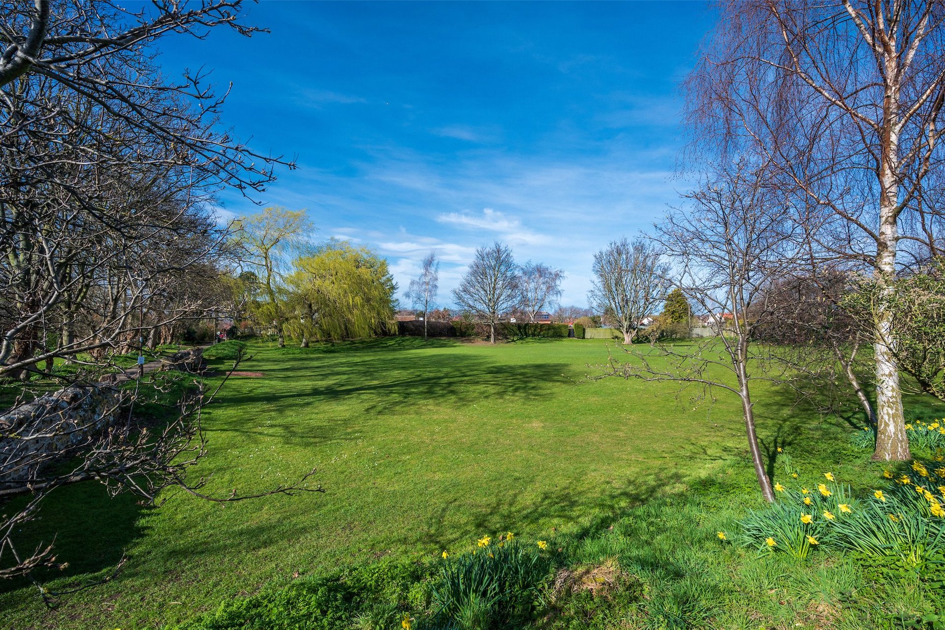28 Campbell Road, Longniddry, East Lothian, EH32 0NP - Picture #35