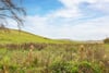 7 Blinkbonny Steading, East Of Lindores, Cupar, Fife, KY14 6JS - Picture #3