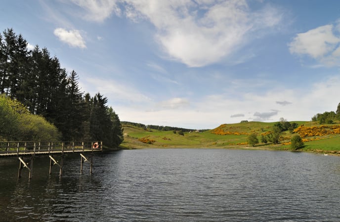 Loch, forestry and countryside landscape image.