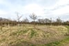 Greycraig Cottage, Kirtlebridge, Lockerbie, Dumfries and Galloway, DG11 3LN - Picture #20