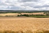 Dove Cottage, 3 Garvald Grange Cottages, Garvald, East Lothian, EH41 4LL - Picture #28